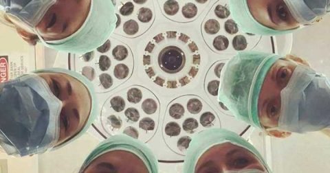 Dissection Lab First Week: What to Expect