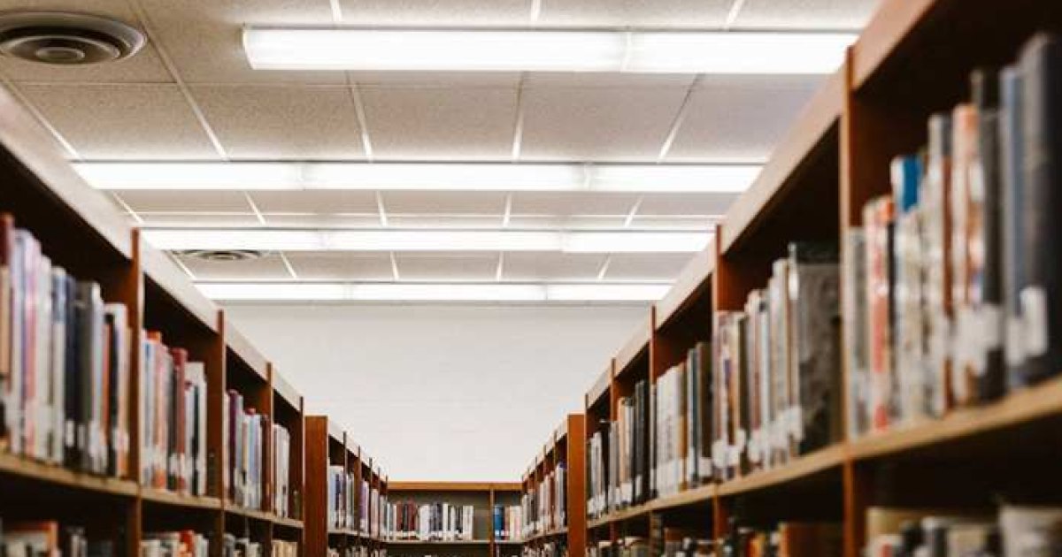 College Email Password Reset Without Panic