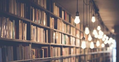 Choose City or Choose Branch? A Calm Decision Framework
