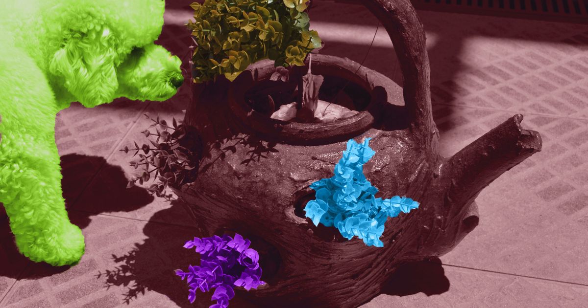 இரண்டு பொறியியல் பிராஞ்சுகளுக்கு இடையே அமைதியாக தேர்வு