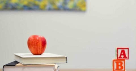 How to Read a TNEA Allotment Order Line by Line