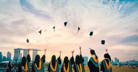 How to Read a College Fee Structure PDF Without Getting Confused