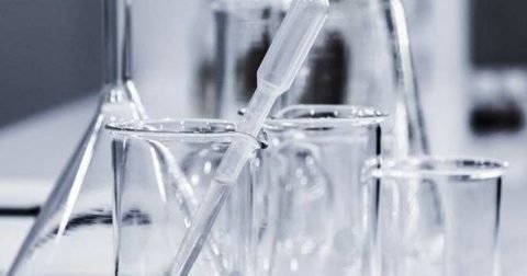 CSE vs IT: Lab Reality Check (Part 9) — 02 Sep 2026