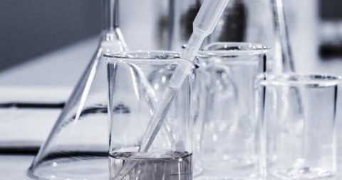 CSE vs IT: Lab Reality Check (Part 19) — 04 Sep 2026