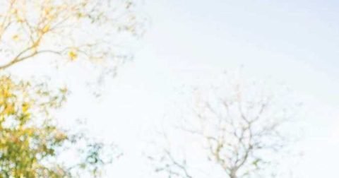 AI/ML Branch Hype vs Fundamentals (Part 94) — 2026-09-19