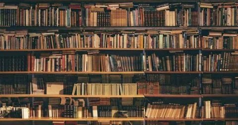 MBBS Bond in Plain Language (Part 93) — 2026-09-19