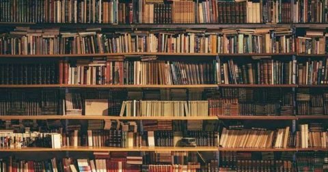 Late TC Undertaking Wording (Part 95) — 2026-09-19
