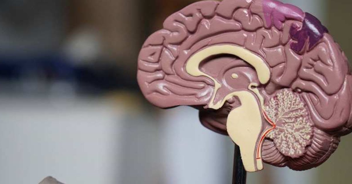 Borderline NEET: BDS and allied plan for this week (not only MBBS wait) (4 September 2026)