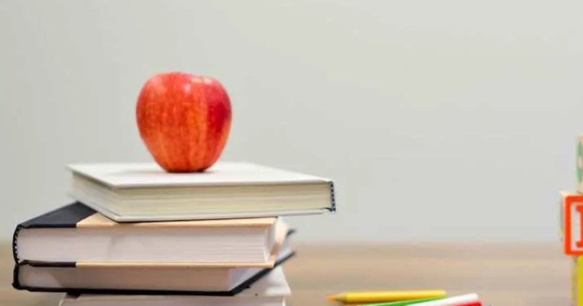 Chennai TNEA college joining this week: travel and desk tips (20 September 2026)