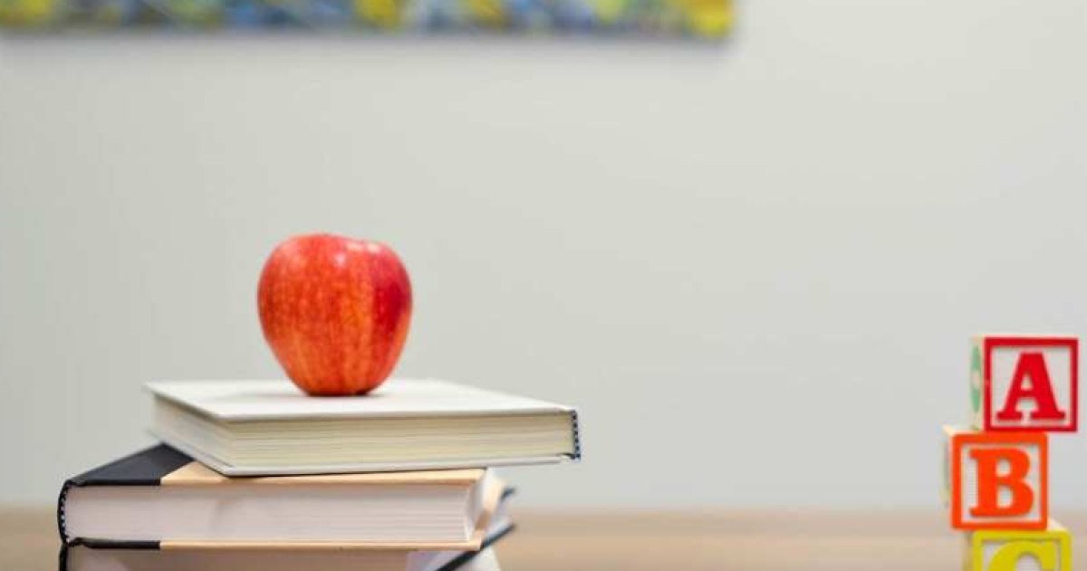 Parent checklist for TNEA and NEET today: one page on the fridge (21 September 2026)
