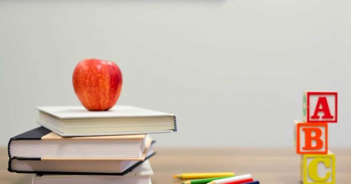 TNEA Accept and Join: college reporting checklist for this week (23 September 2026)