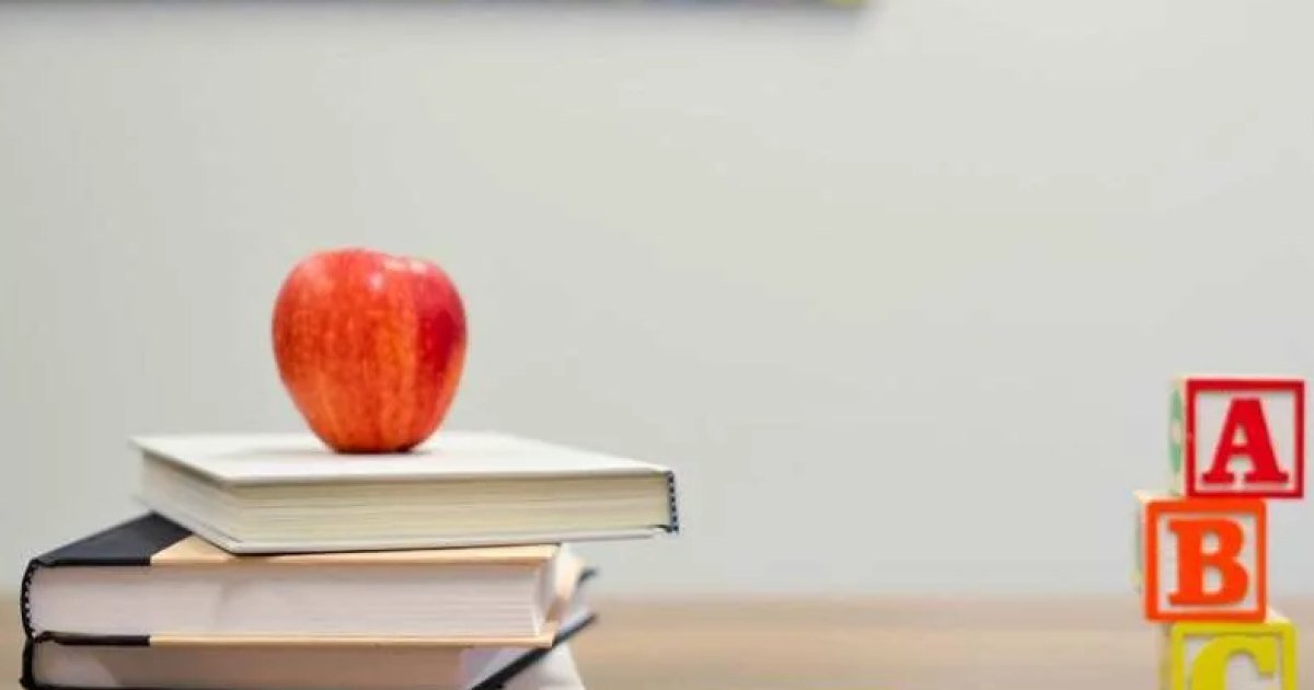 Government school TNEA provisional orders: what “provisional” really means (24 September 2026)