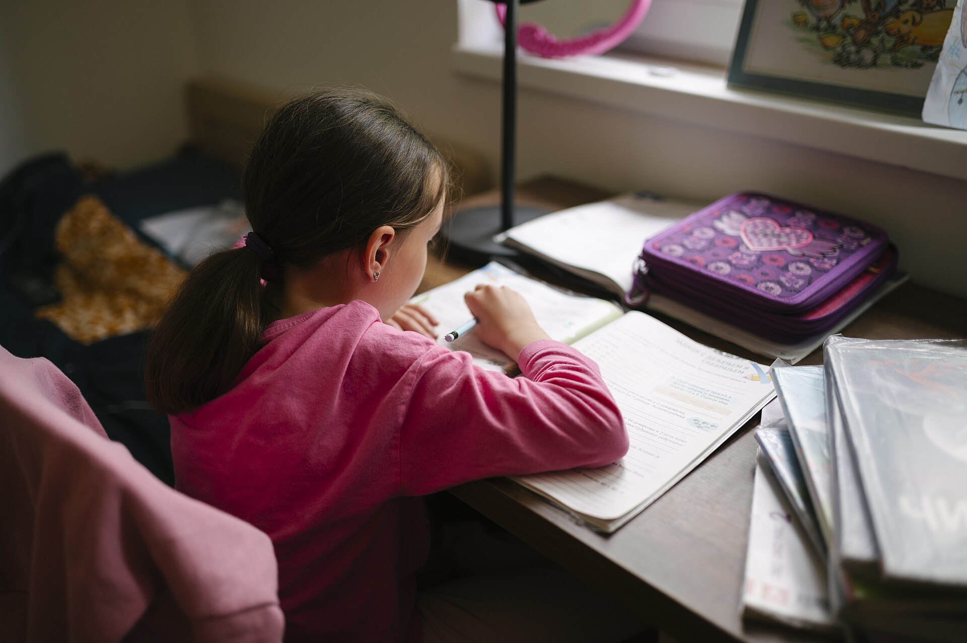 Transfer certificate delays: how to join TNEA college without losing the day (13 August 2026)
