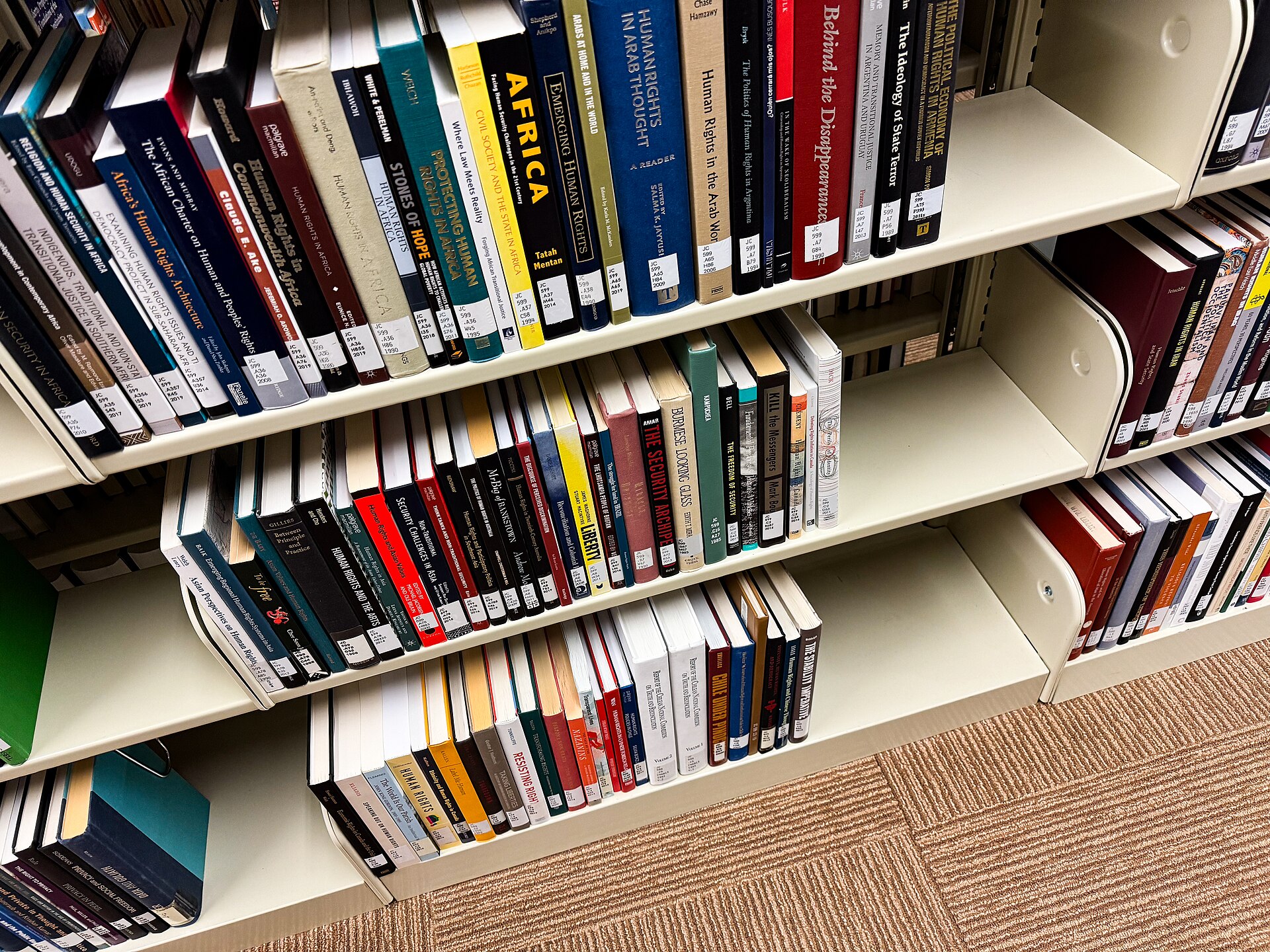 Transfer certificate delays: how to join TNEA college without losing the day (16 August 2026)