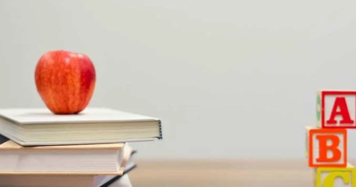 Transfer certificate delays: how to join TNEA college without losing the day (29 September 2026)