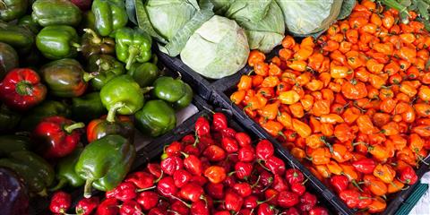 Agricultural Engineering in Tamil Nadu: Overview