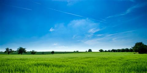 B.Sc Agriculture vs Agriculture Engineering: Which to Choose?