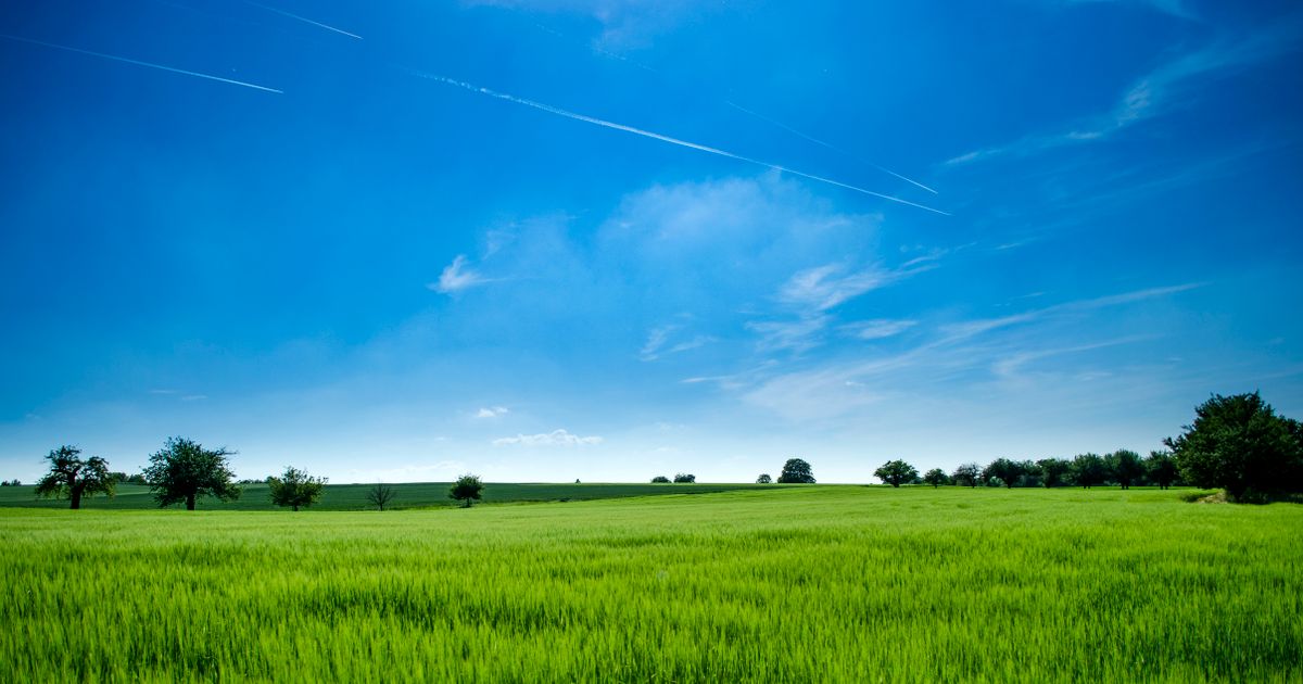B.Sc Agriculture vs Agriculture Engineering: Which to Choose? — Manavarkal Tamil Nadu