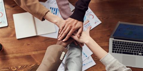 Role of an Education Consultant
