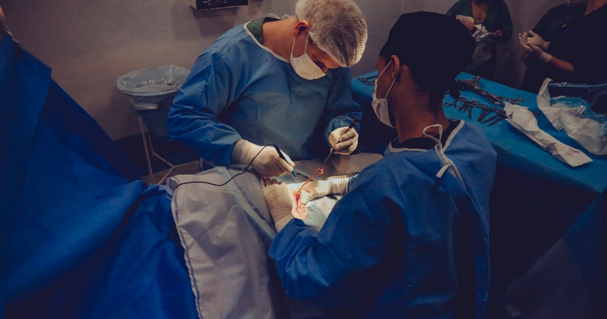 When to Hire an Admission Consultant (And When Not To)